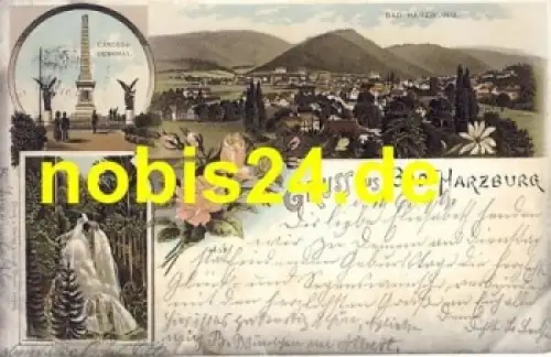 38667 Bad Harzburg Litho o 2.6.1899