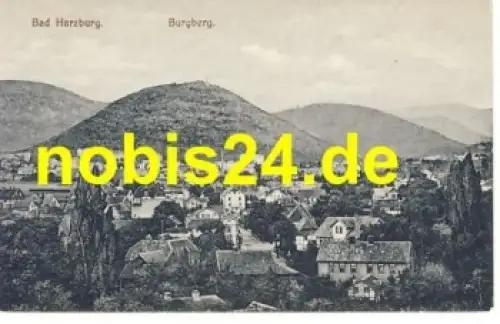 38667 Bad Harzburg Burgberg * ca.1920