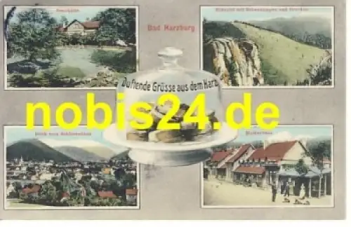 38667 Bad Harzburg Molkenhaus Sennhütte o 1915