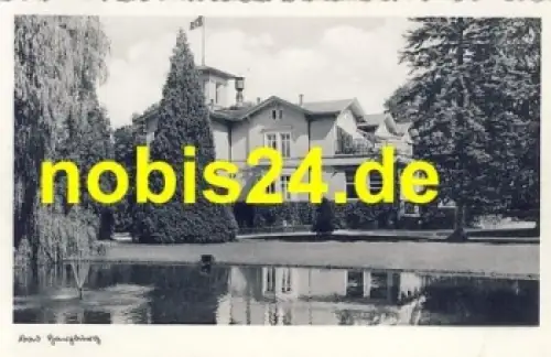 38667 Bad Harzburg Villenansicht * ca.1930