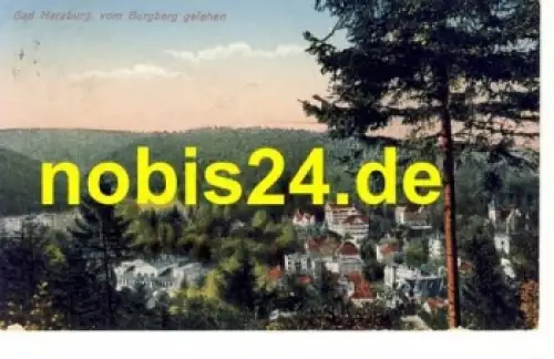 38667 Bad Harzburg vom Burgberg o 1928