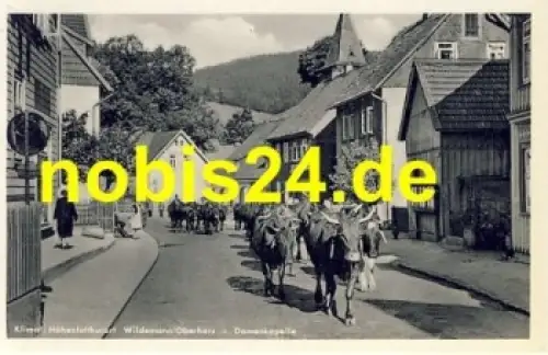 38709 Wildemann Kühe Damenkapelle o 4.6.1952