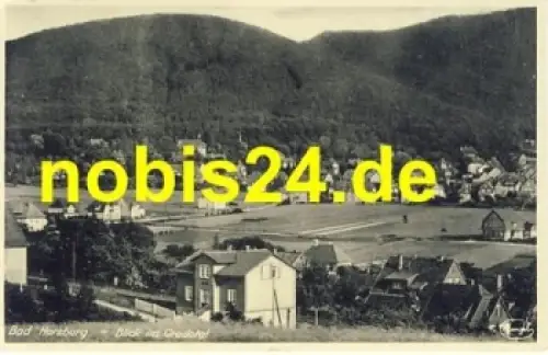 38667 Bad Harzburg Blick ins Crodotal o 6.8.1941