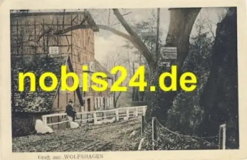 38685 Wolfshagen Gebäude und Jäger *ca. 1920