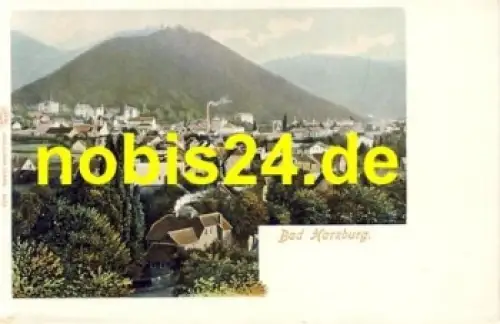 38667 Bad Harzburg *ca.1910