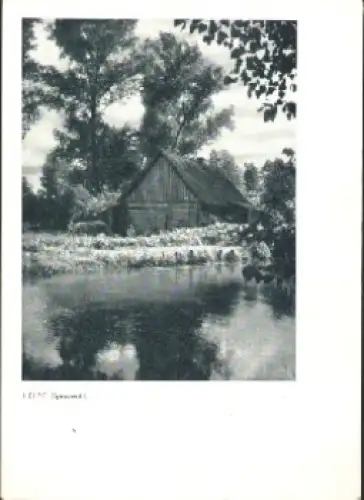 03226 Leipe, Spreewald gebr. 24.06.1948