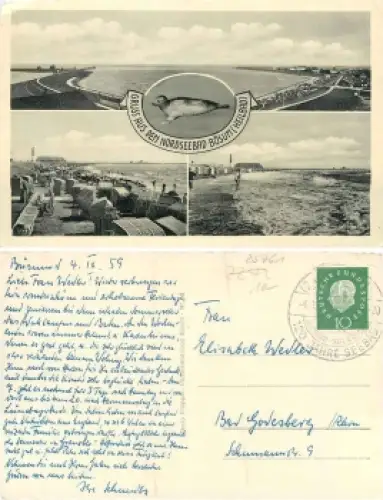 25761 Nordseebad Büsum mit Robbe o 4.9.1959