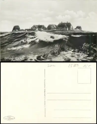 25859 Hallig im Sturm *ca. 1930