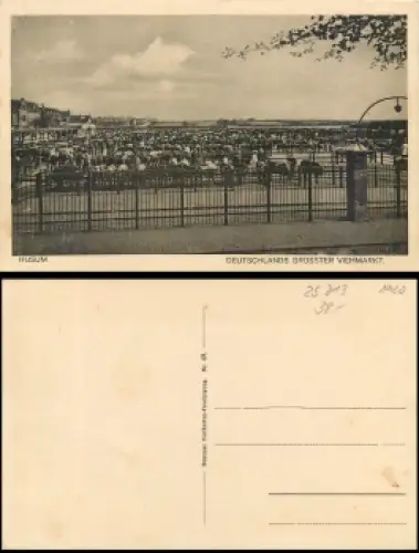 25813 Husum Viehmarkt *ca. 1920