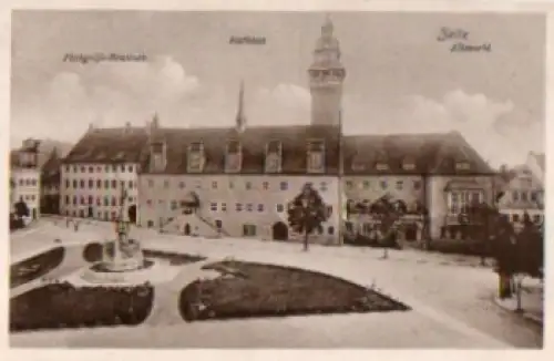 06712 Zeitz Altmarkt Finkgräfe-Brunnen Rathaus  *ca. 1910
