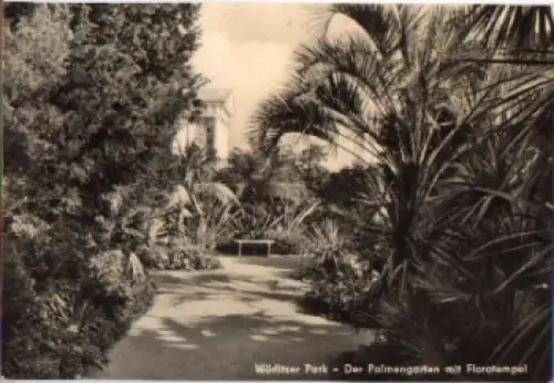 06786 Wörlitzer Park, Palmengarten mit Floratempel * 28.7.1973