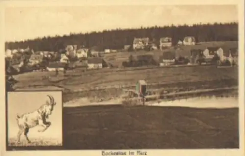 38600 Bockswiese mit Ziege, * ca. 1940