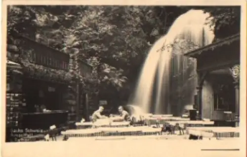 01824 Kurort Rathen Amselfall Wasserfall * um 1950