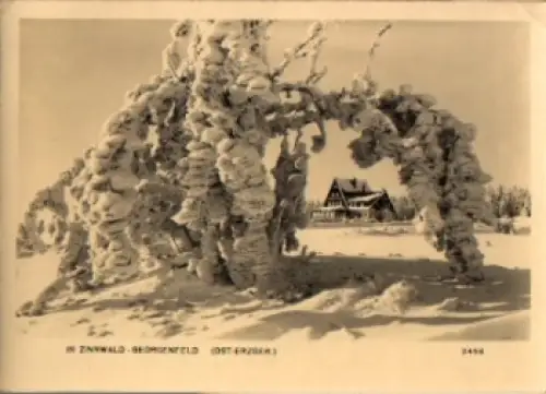 01773 Zinnwald-Georgenfeld im Winter o 2.1.1968