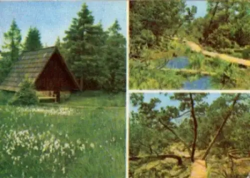 01773 Georgenfeld Hochmoor Mehrbildkarte *ca. 1970