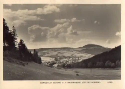 01778 Geising Erzgebirge mit dem Geisingberg * 1960