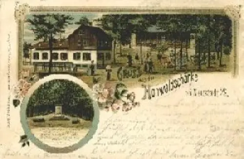 01844 Neustadt Sachsen Hohwaldschänke Litho o 7.2.1902