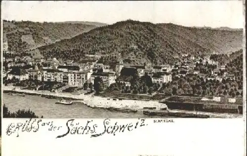 01814 Bad Schandau Litho *ca. 1910