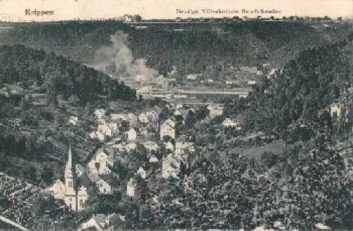 01814 Krippen Sächsische Schweiz mit Sendigs Villenkolonie Neu-Schandau o 9.1.1921