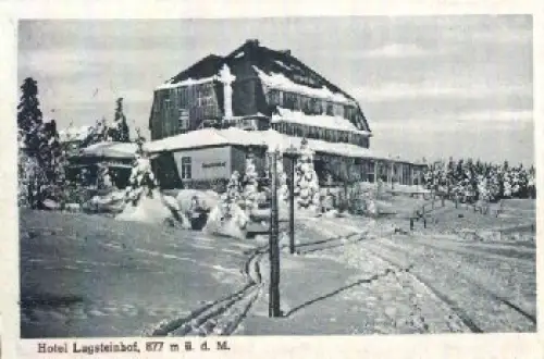 01773 Zinnwald Georgenfeld Hotel Lugsteinhof o 3.10.1920