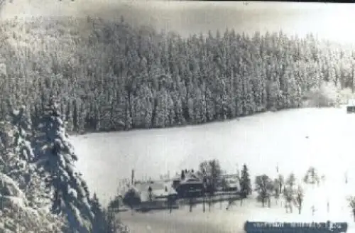 01773 Rehefeld Jägerhof o 28.1.1929