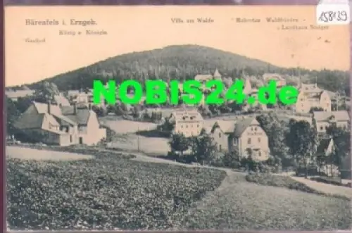 01773 Bärenfels Altenberg 1921