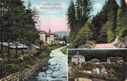 01773 Kipsdorf Hotel Fürstenhof Hochprägekarte * ca. 1910