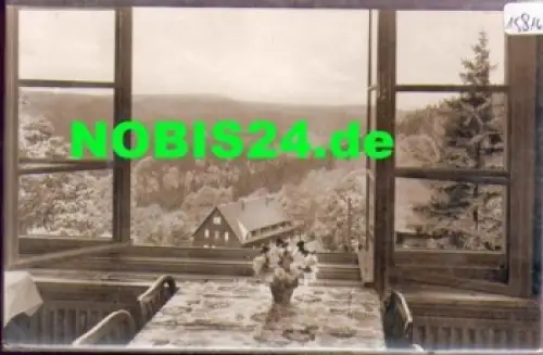 01773 Bärenfels Altenberg Handwerkerheim Spitzbergbaude Blick ins Pöbeltal * um 1960