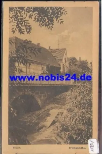 01594 Riesa Brückenmühle *ca. 1920