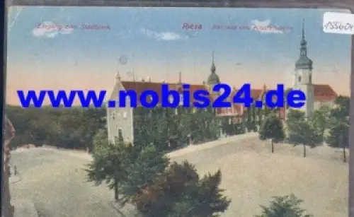 01587 Riesa Eingang zum Stadtpark Rathaus und Klosterkirche o 30.6.1918