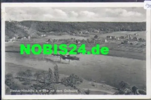 01665 Nieschütz, Elbe mit Golkwald, o 5.8.1963