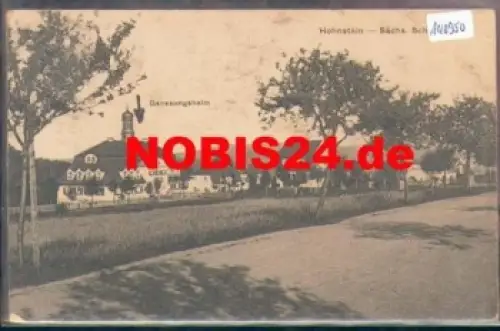 01848 Hohnstein  mit Genesungsheim o 10.11.1924