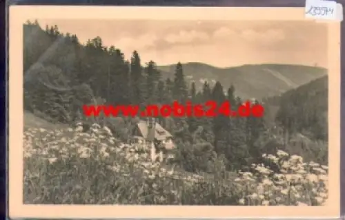 01773 Bärenfels Altenberg Sommerblick in Weisseritzthal o 18.6.1954