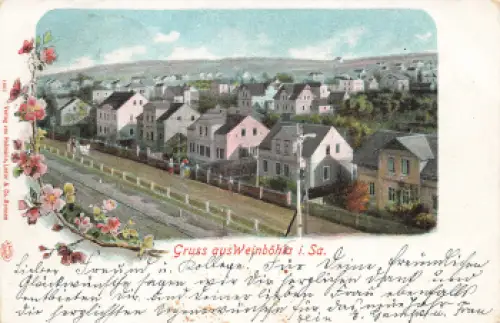 01689 Weinböhla Sachsen Moltkestrasse o 1901