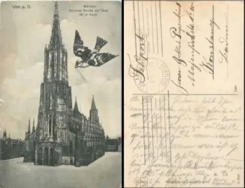 Ulm Donau Münster mit Spatzen Vogel o 13.8.1914