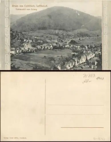 75323 Calmbach Bad Wildbad vom Euberg * ca. 1910