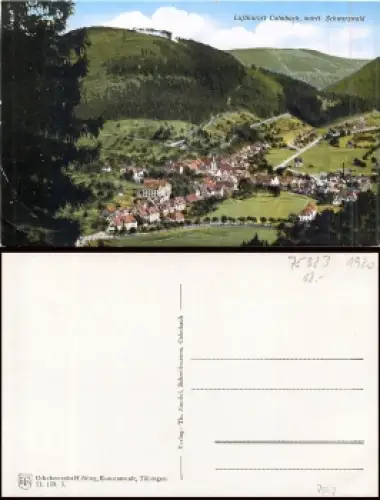 75323 Calmbach Bad Wildbad * ca. 1920