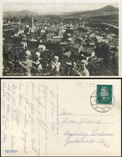 53474 Ahrweiler Weinberge o 16.10.1931