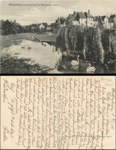 31100 Hildesheim Schwaneninsel im Kalenberger Graben gebr. 1918