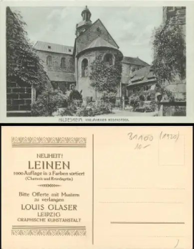 Hildesheim 1000 Jähriger  Rosenstock * 1920