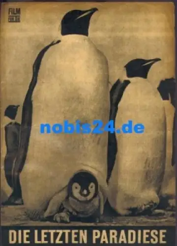 Die letzten Paradiese - Tierfilm von Eugen Schuhmacher 121/67 Progress-Programm