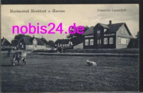 25946 Norddorf Amrum Friesische Landschaft *ca.1915