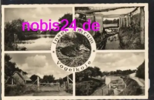 25946 Amrum Insel *ca.1950