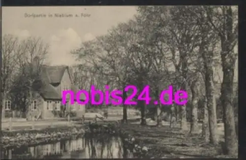 25938 Nieblum auf Föhr Dorfpartie *ca.1915