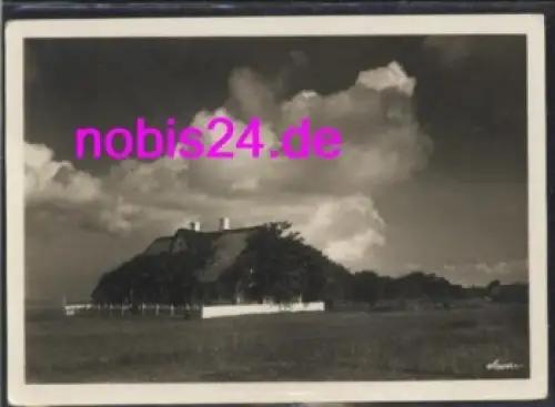 25980 Sylt Insel Friesisches Gehöft *ca.1955