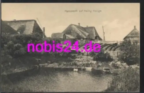 25859 Hallig Hooge Hanswerft *ca.1920