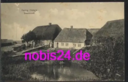 25859 Hallig Hooge Bakkenswarf *ca.1925