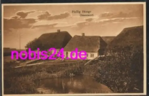 25859 Hallig Hooge Okkenswerft *ca.1920