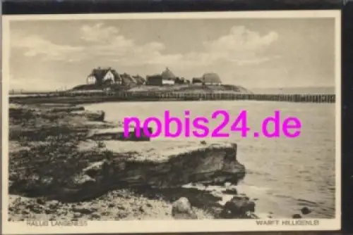 25863 Hallig Langeness  Warft Hilligenlei  *ca.1940