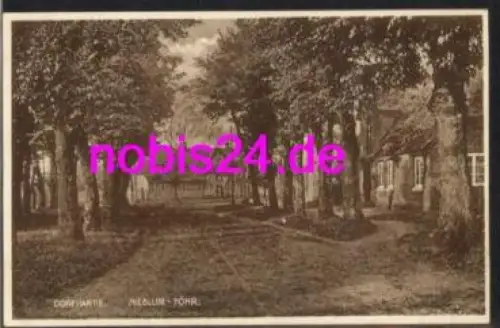 25938 Nieblum Föhr Dorfpartie *ca.1930